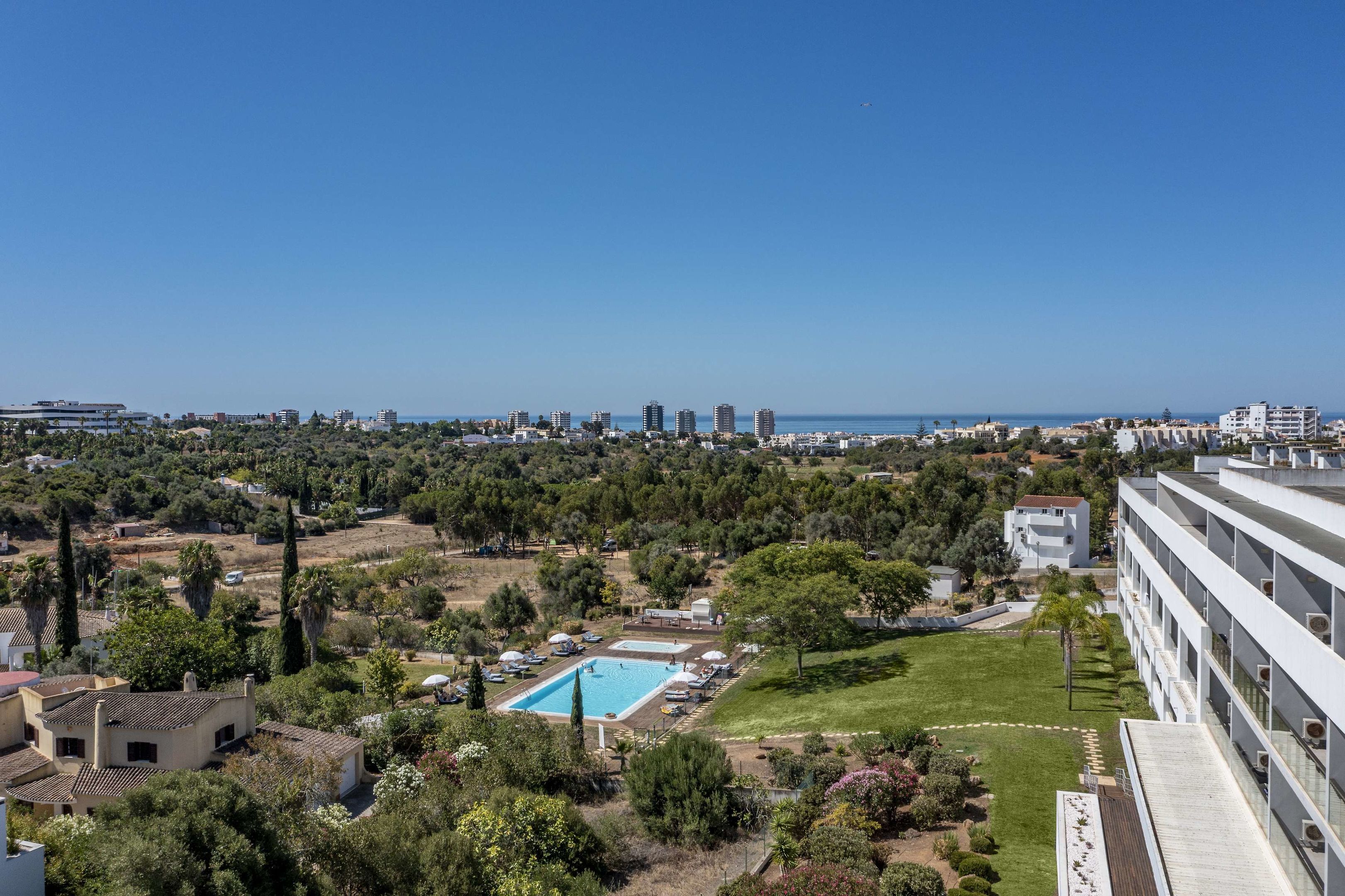 Pelican Alvor