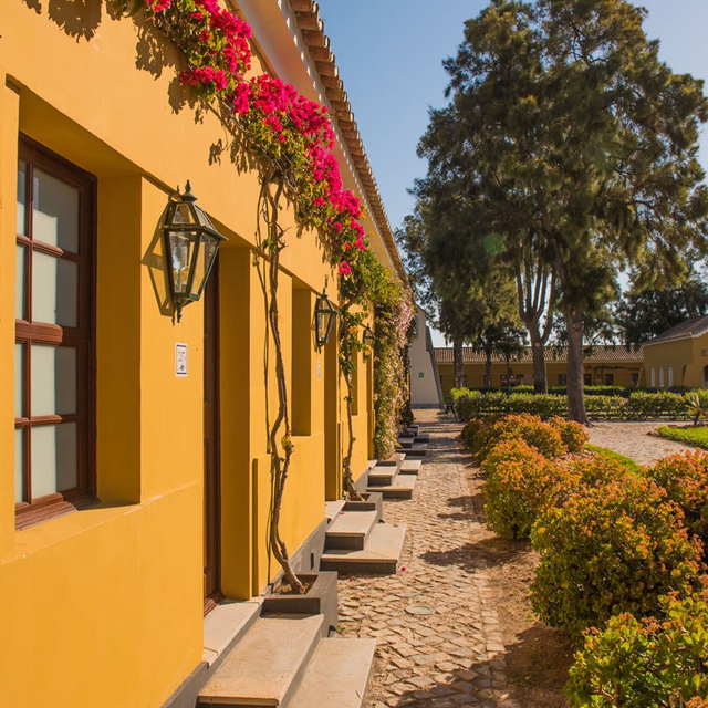 Eco Hotel Vila Gale Albacora
